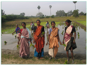 Organic Cotton Growers - K.V.Kuppam