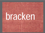 bracken
