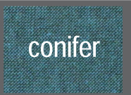 conifer
