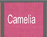 camelia