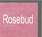 rosebud