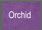 orchid