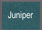 juniper